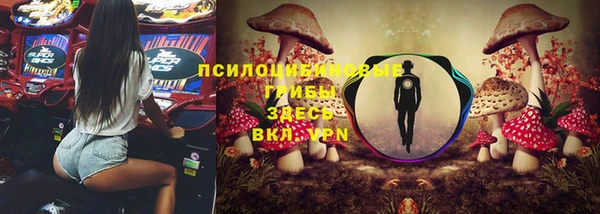 бошки Абаза