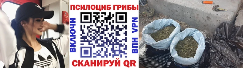Галлюциногенные грибы мухоморы  Агидель 